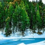 Kedarkantha Trek