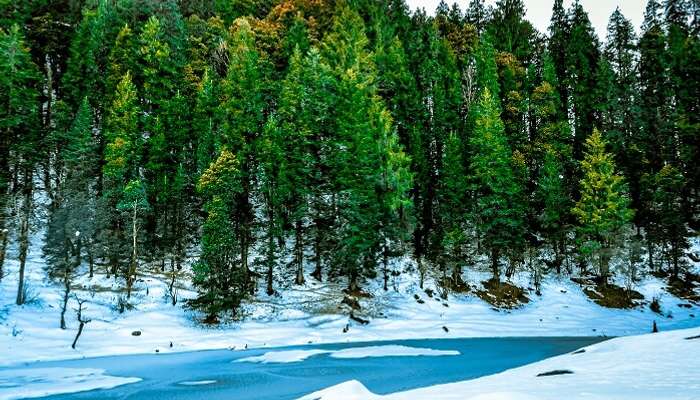 Kedarkantha Trek