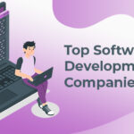 software development