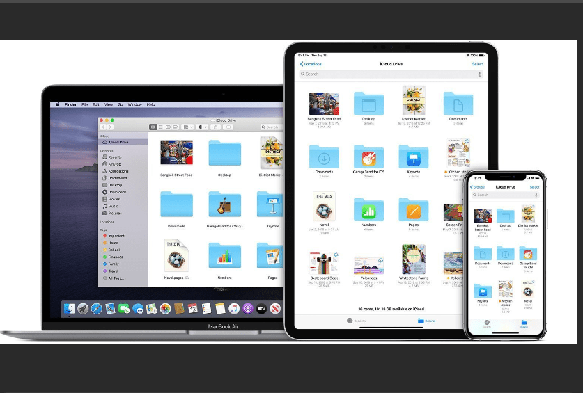 Free Video Downloader